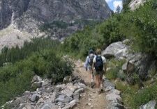 switchback-225x300-1